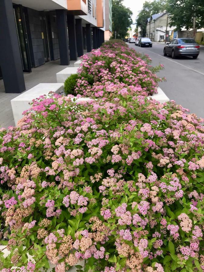 Cozy Home Apartment - Tallinn City Center 外观 照片